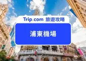 2025 浦東機場到上海市區交通一次看!附浦東往返虹橋機場交通路線