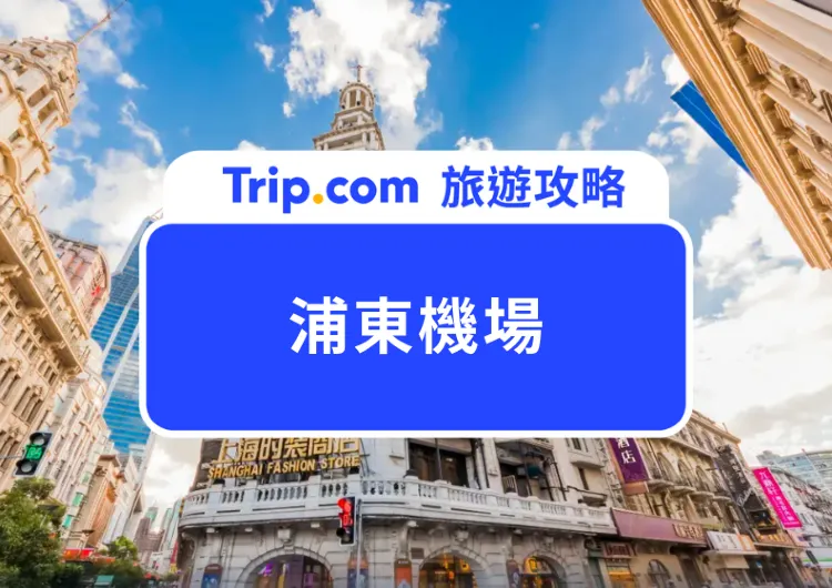 【2025 浦東機場攻略】自由行必看！怎麼從浦東機場到上海市區？上海熱門景點&飯店推薦