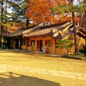 【2026 오대산 단풍 절정 시기】오대산 단풍 명소 추천|월정사·선재길·상원사·등산코스 총정리