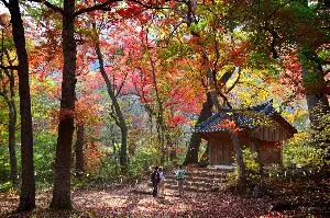 치악산