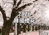 【2026韓國櫻花】韓國櫻花季,粉色花海中的詩意時光,3月下旬韓國櫻花首爾、釜山、瀘州島等櫻花盤點資訊懶人包!