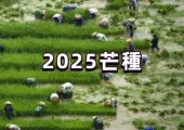 【2025芒種】2025芒種6月5日到來，5大習俗+4大禁忌全介紹，一起迎接二十四節氣的第九個節氣吧！