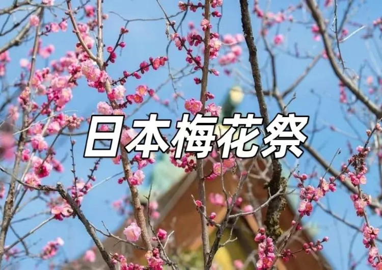 【2026日本梅花祭全攻略】日本必睇的8大賞梅勝地+開花時間，千年古梅等你來！附交通攻略
