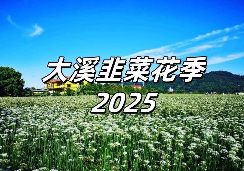 【大溪韭菜花田2026】季節限定九月雪，花田地址/交通/門票/賞花路線/韭菜花節＋桃園周邊景點住宿懶人包！