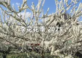 【李花花季2025】花季2025全台7大李花賞花景點推薦,花況賞花地圖全攻略!
