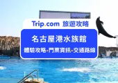 一睹超萌的海豚企鵝!2025名古屋港水族館體驗全攻略|門票資訊、交通路線,帶你一次看遍全園區