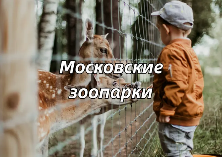 Московские зоопарки: куда сходить с детьми и взрослыми