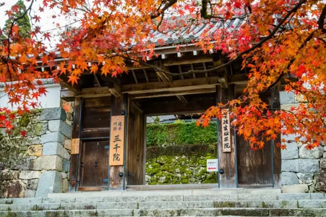 산젠인