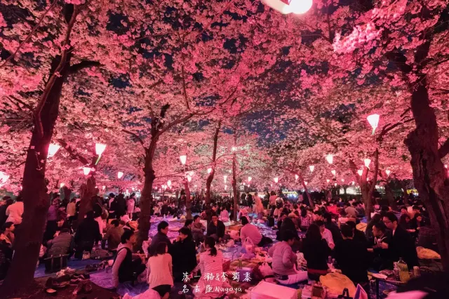 쓰루마이 공원