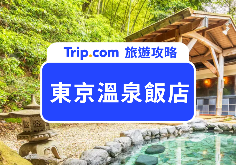 【2026 東京溫泉飯店】Top 17 東京市區、河口湖、箱根必訪溫泉湯屋推薦！私人湯屋超享受！