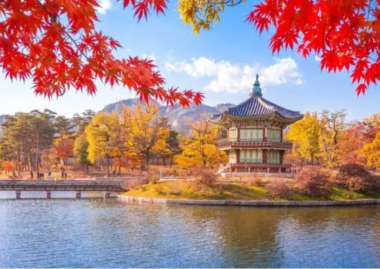 【韓國賞楓2026】22個楓葉景點推薦,釜山/首爾/濟州島楓葉時間預測、賞楓一日遊行程總整理