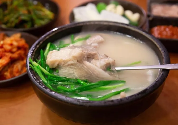 2026 부산 맛집 추천 BEST 15｜해산물·횟집·양고기 맛집 총정리