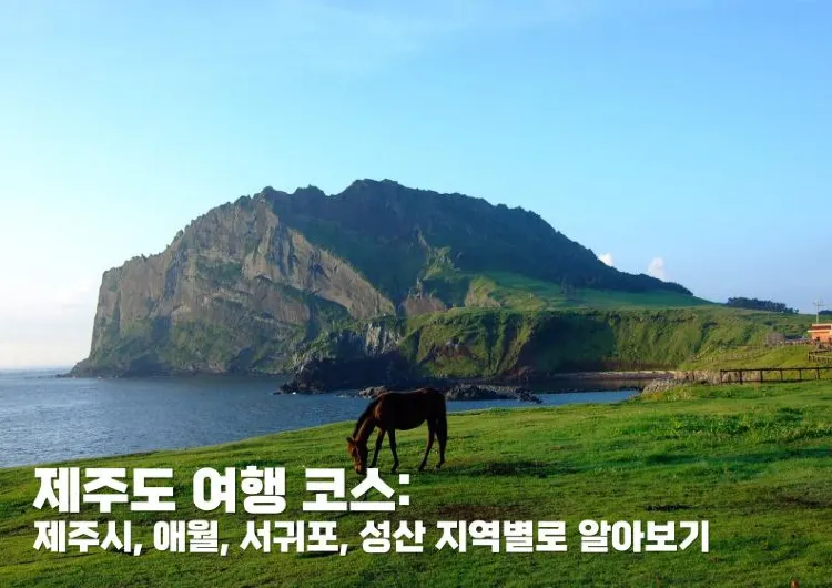 제주도 여행 코스: 제주시, 애월, 서귀포, 성산 지역별로 알아보기