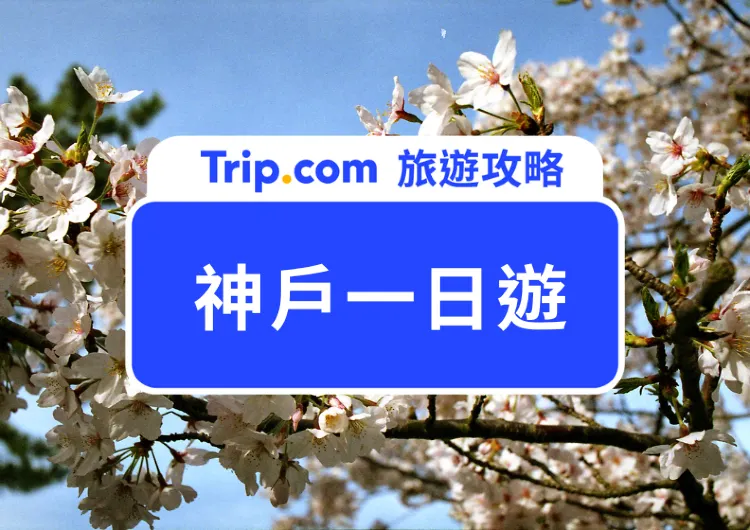 麵包超人迷看過來！2025神戶一日遊景點攻略｜交通路線、優惠門票幫你整理好！