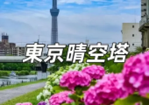 【東京天空樹攻略2026】來東京晴空塔德國氛圍聖誕市場,體驗異國風情的冬季盛宴!