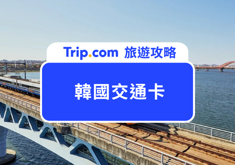【2026 韓國交通卡】T-Money、WOWPASS、氣候同行卡比較！Apple Pay 免買卡教學一次看