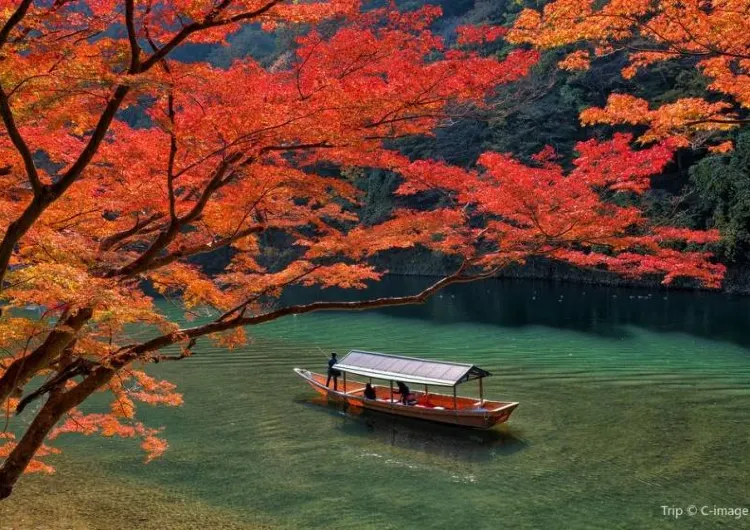 【2025年嵐山紅葉】嵐山紅葉完全ガイド!見どころ10選・見頃時期・混雑回避のコツ・ライトアップ・アクセス情報まとめ