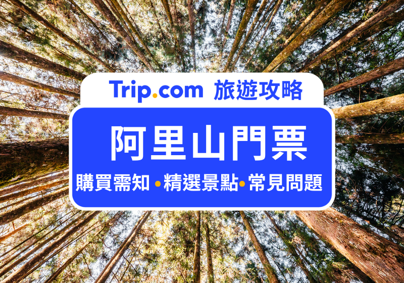 2026阿里山風景區攻略｜門票購買需知、春夏賞螢季、日出日落時間一次報你知！