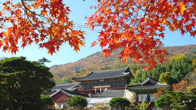 梵魚寺