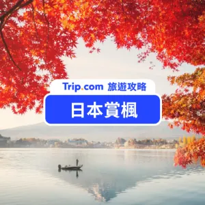 2026 日本賞楓景點 Top 10+ 推薦｜超詳細日本各地楓葉預測資訊持續更新中！