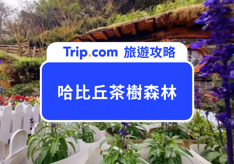 2026苗栗銅鑼的童話秘境：哈比丘茶樹森林，一日行程交通路線、門票、遊玩攻略！