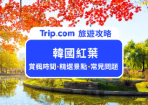 【2026 韓國紅葉】15+ 首爾釜山紅葉景點攻略 韓國賞楓看這篇