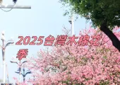 【2025木棉花季】盤點台灣8大熾紅花海地圖!木棉花實時花況與絕美賞花景點全掌握