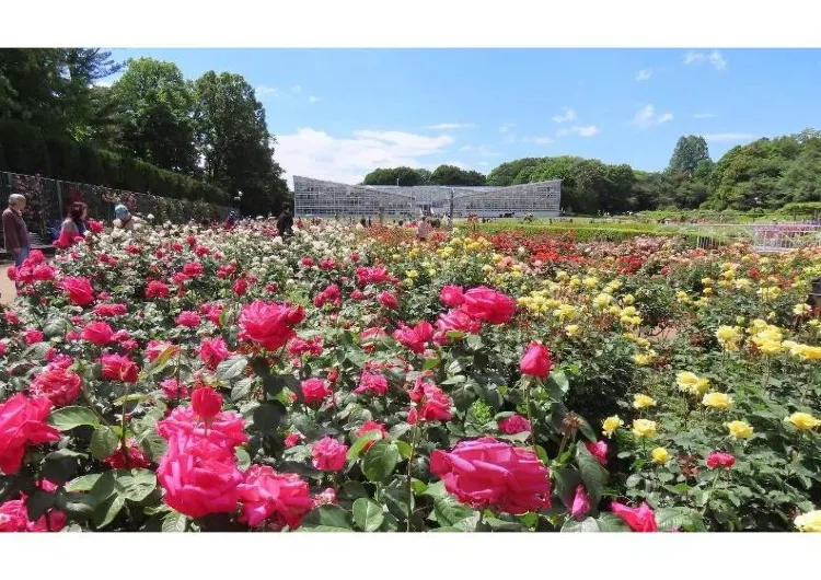 【東京ゴールデンウィークイベント2025】東京のGWイベントやGW穴場を厳選！混雑を避けて家族・友人とゴールデンウィークを満喫！