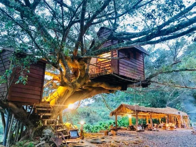 卡米莎度樹屋園區