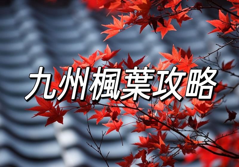 【日本紅葉2026】九州TOP11人氣賞楓景點推介！楓葉最佳觀賞時間 、常見問題一文睇