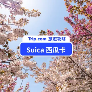 2026 日本交通卡 Suica 西瓜卡》購買方式/使用範圍/線上加值懶人包