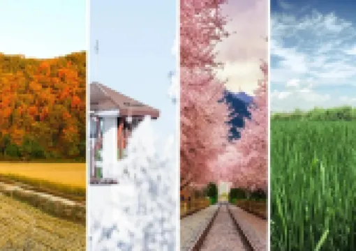 국내 여행지 추천! 계절따라 떠나는 사계절 감성 여행지 한눈에 보기