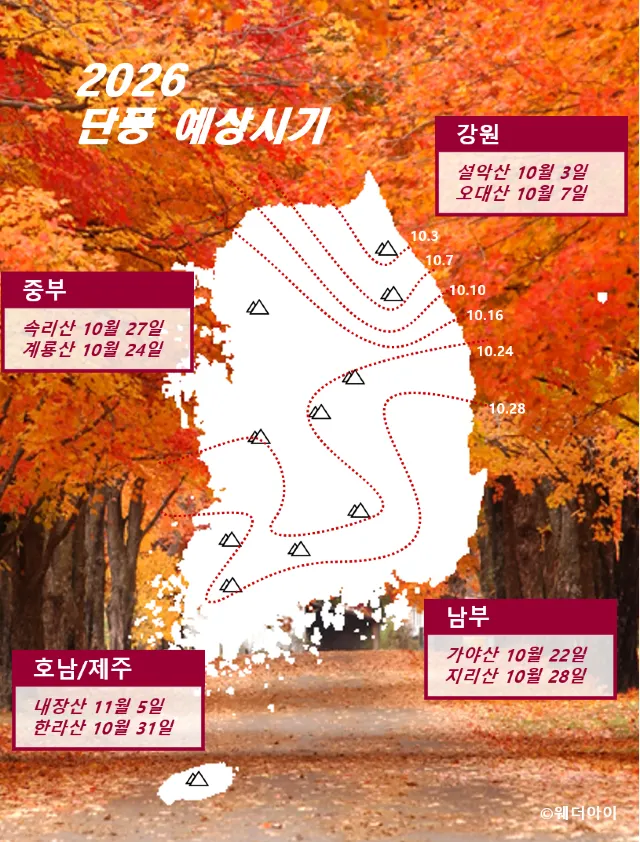 단풍 예상 시기