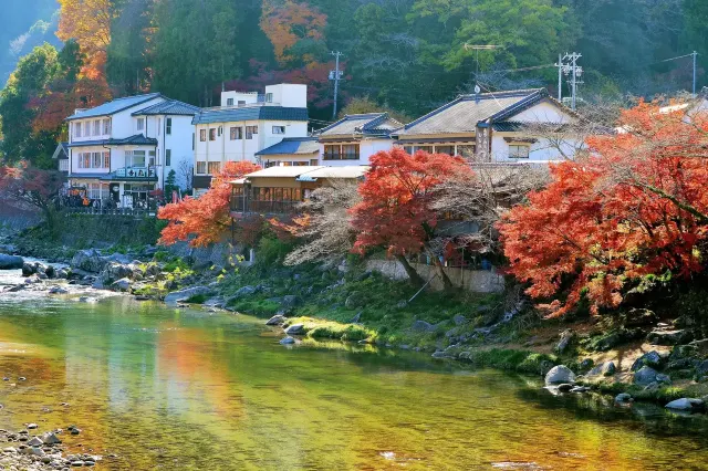 日本楓葉景點｜中部賞楓 日本賞楓 #15 名古屋香嵐溪