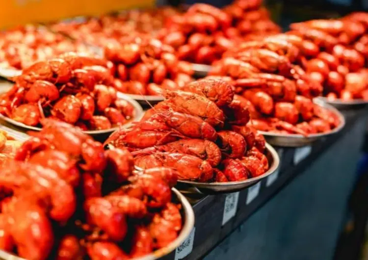 【長沙美食】2025長沙美食盤點!附餐廳推薦、當地景點