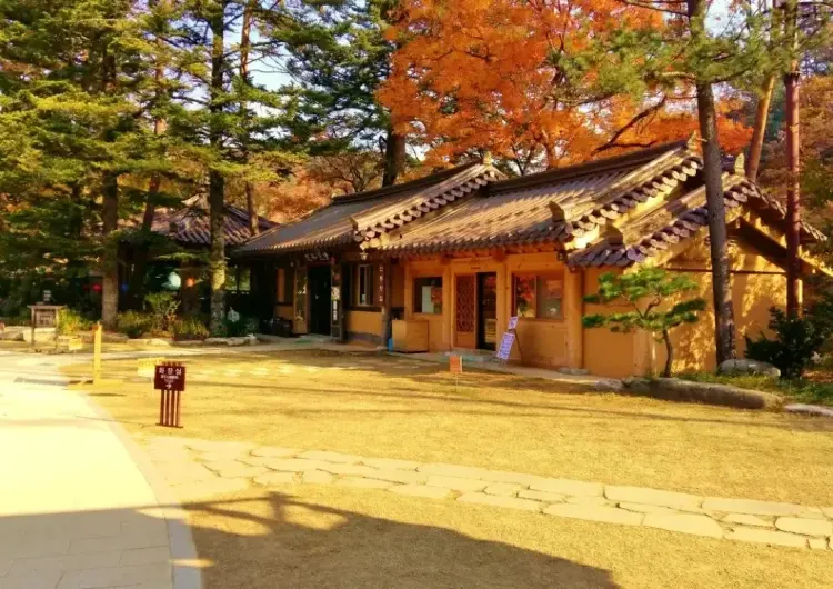 【오대산 단풍 완벽 가이드】 오대산 월정사·선재길·상원사|예약·등산코스·교통·맛집 총정리