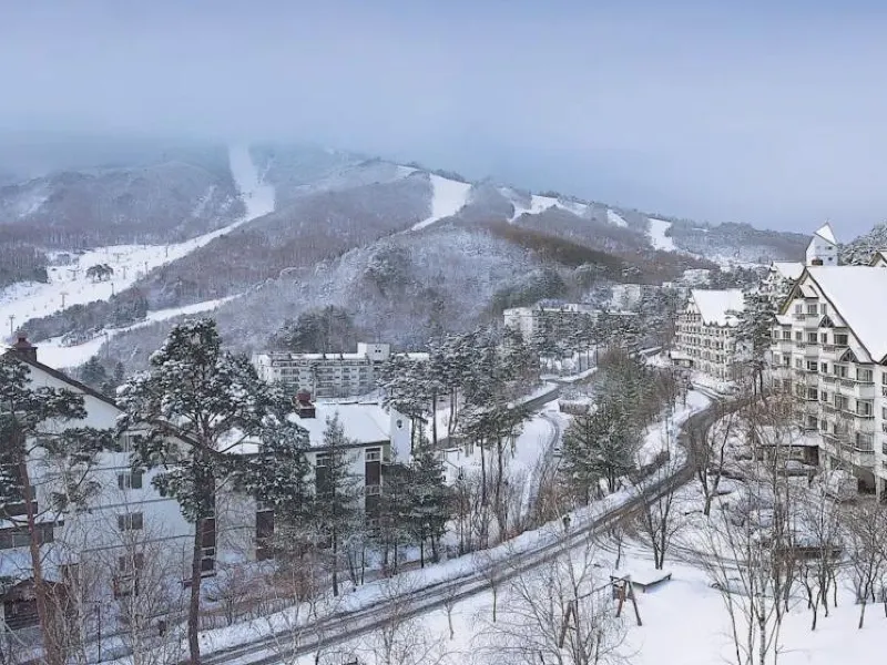 겨울 여행 인기 지역 - 주요 이미지