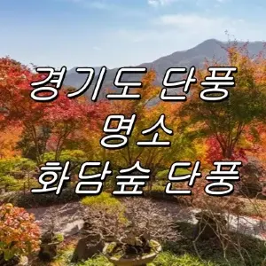 2026 화담숲 단풍 완벽 가이드 : 화담숲 단풍 시기·예약 방법·모노레일 꿀팁·주차 총정리