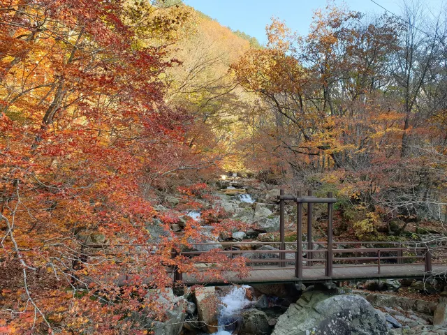 방태산자연휴양림