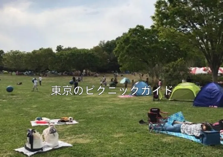 東京のピクニックガイド|街と自然のロマンチックな時間を楽しむ