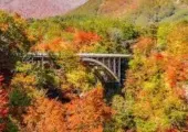 【東北紅葉2025】2025年東北の紅葉名所&見どころ25選!秋の絶景に出会える完全ガイド