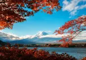 【東京楓葉2026】11月中旬至12月上旬前後最佳賞楓期 !17大景點、一日遊推介、住宿一篇搞定