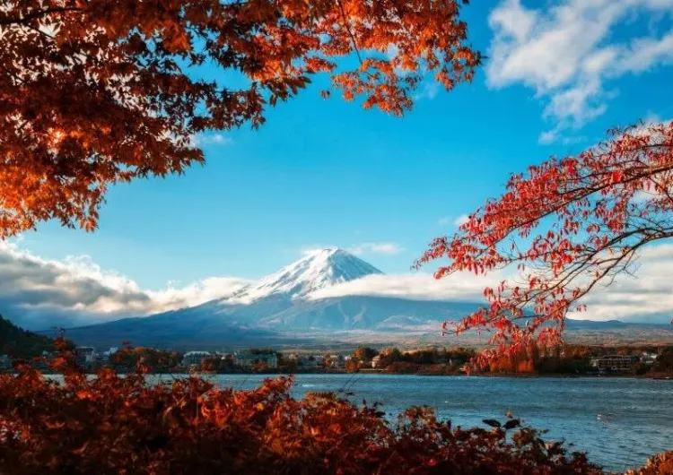 【東京楓葉2026】11月中旬至12月上旬前後最佳賞楓期 !17大景點、一日遊推介、住宿一篇搞定
