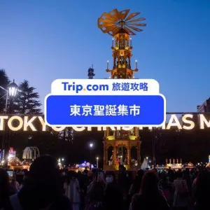 【東京聖誕市集2026】明治神宮外苑&芝公園雙會場!聖誕金字塔必打卡!門票&必吃美食&交通&東京5大市集全整理