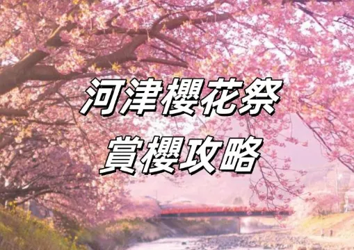 【河津櫻 2026】2月日本賞櫻好去處，河津櫻花祭賞櫻攻略！花期預測、賞櫻景點、河津櫻花祭活動與御朱印巡禮一次看