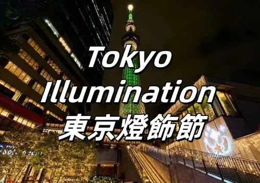 【Tokyo Illumination 東京燈飾節】璀璨冬夜的光影盛宴，邀您探索東京街頭夢幻燈海，感受節日的温馨與浪漫！
