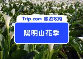2025陽明山花季懶人包｜門票優惠、遊玩攻略、交通路線一次看