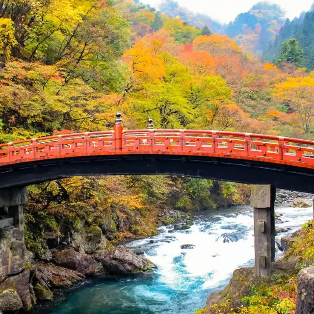 日本楓葉景點｜關東賞楓 日本賞楓 #14 日光