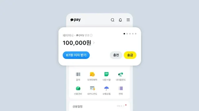 카카오페이 머니