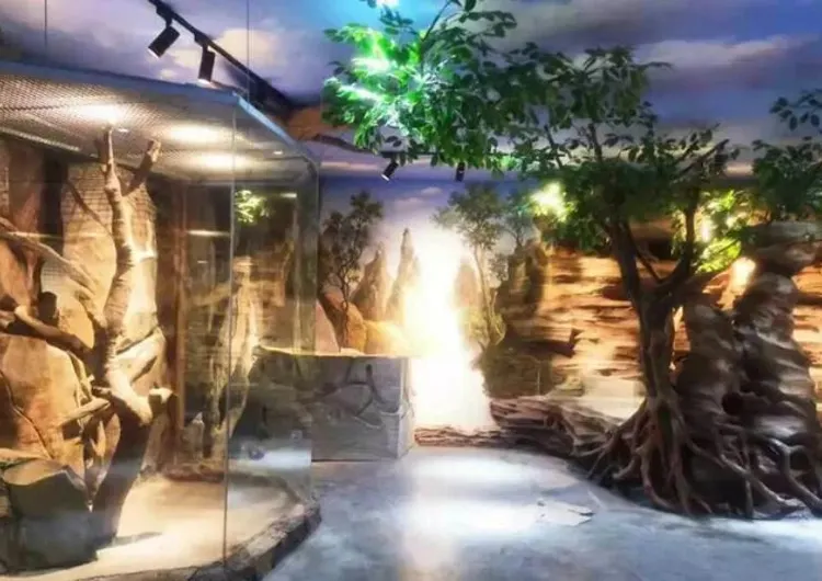 [Nantong Free Travel] How to travel in Nantong for 3 days and 2 nights, a comprehensive guide to itinerary planning!